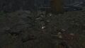 Thumbnail for version as of 19:54, 22 May 2026