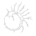 Thumbnail for version as of 19:30, 22 May 2026