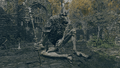 Thumbnail for version as of 19:44, 22 May 2026