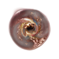 Thumbnail for version as of 02:28, 27 May 2026
