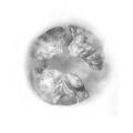Thumbnail for version as of 19:49, 22 May 2026