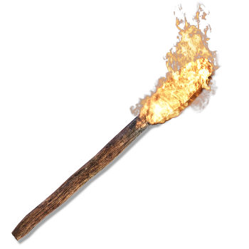 Torch