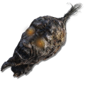 Thumbnail for version as of 19:43, 22 May 2026