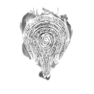 Shining Rune of Black Flame