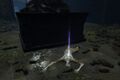 Thumbnail for version as of 19:54, 22 May 2026