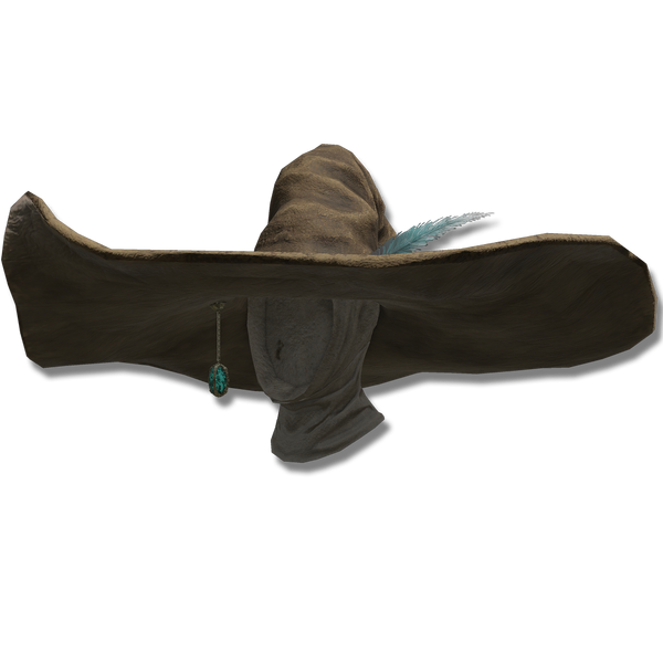 File:Spellblades pointed hat.png