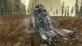 Thumbnail for version as of 19:36, 22 May 2026