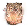 Thumbnail for version as of 01:24, 29 May 2026