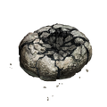 Thumbnail for version as of 17:14, 29 May 2026