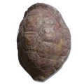 Thumbnail for version as of 19:02, 27 May 2026