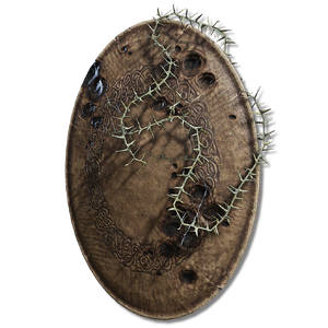 Marred Leather Shield