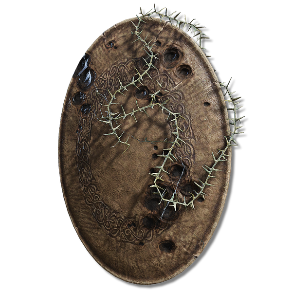 File:Marred occult leather shield.png