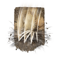 Thumbnail for version as of 01:24, 29 May 2026