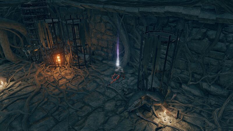 File:Warding-Remnant-Treasure-1x-Weeping-Witchbane-Ruins.jpg