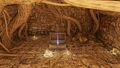 Thumbnail for version as of 19:55, 22 May 2026