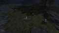 Thumbnail for version as of 19:54, 22 May 2026