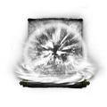 Thumbnail for version as of 01:25, 29 May 2026