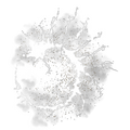 Thumbnail for version as of 19:31, 22 May 2026