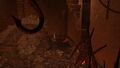 Thumbnail for version as of 19:52, 22 May 2026