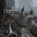 Thumbnail for version as of 19:31, 22 May 2026