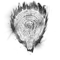 Thumbnail for version as of 05:11, 19 February 2026