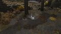 Thumbnail for version as of 19:37, 22 May 2026
