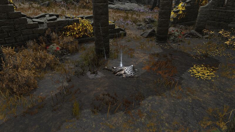 File:ELDEN-RING™-04 02 2024-20 33 55.jpg
