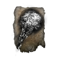 Thumbnail for version as of 01:51, 29 May 2026