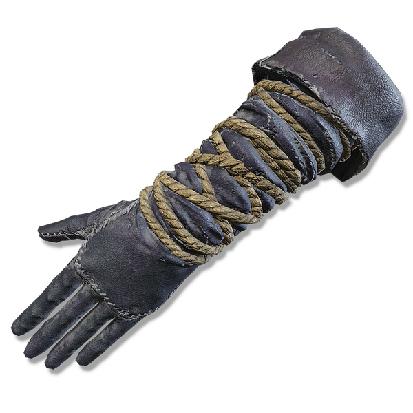 File:Travelers gloves.png