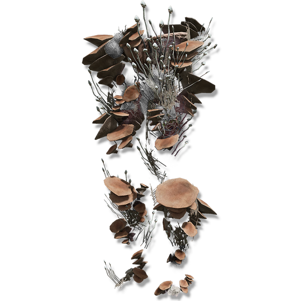 File:Mushroom legs.png
