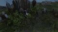 Thumbnail for version as of 19:55, 22 May 2026