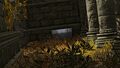 Thumbnail for version as of 19:28, 22 May 2026