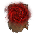 Thumbnail for version as of 01:24, 29 May 2026