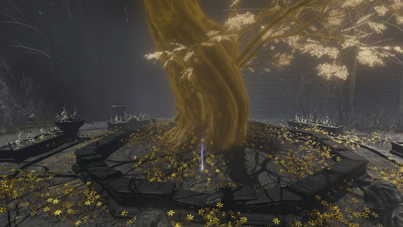 File:Warding-Remnant-Treasure-1x-Shadow-Keep-Main-Gate-Plaza.jpg