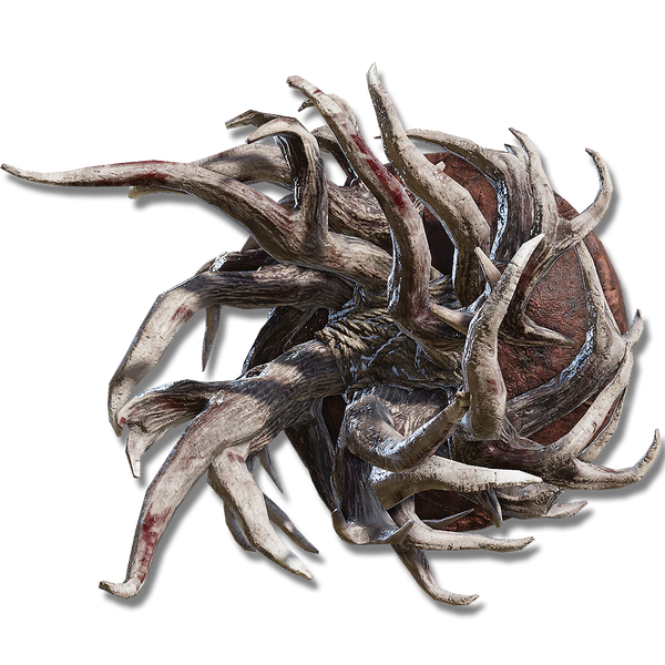 File:Spiralhorn shield.png
