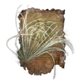 Thumbnail for version as of 01:52, 29 May 2026