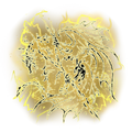 Thumbnail for version as of 15:20, 17 June 2026