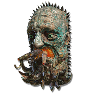 Visage Shield