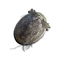 Thumbnail for version as of 19:35, 22 May 2026